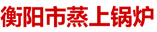 衡阳市蒸上锅炉有限公司_蒸上锅炉|衡阳真空锅炉|衡阳节能灶|电加热锅炉