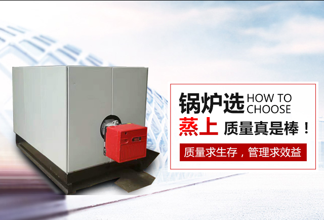 衡阳市蒸上锅炉有限公司_蒸上锅炉|衡阳真空锅炉|衡阳节能灶|电加热锅炉